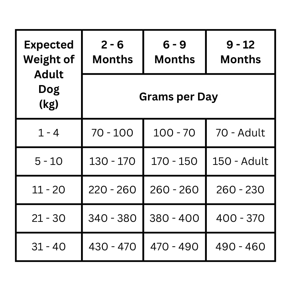 ProTrain All Life Stages Grain Free Grass Fed Angus Beef Dry Dog Food (Made in UK)