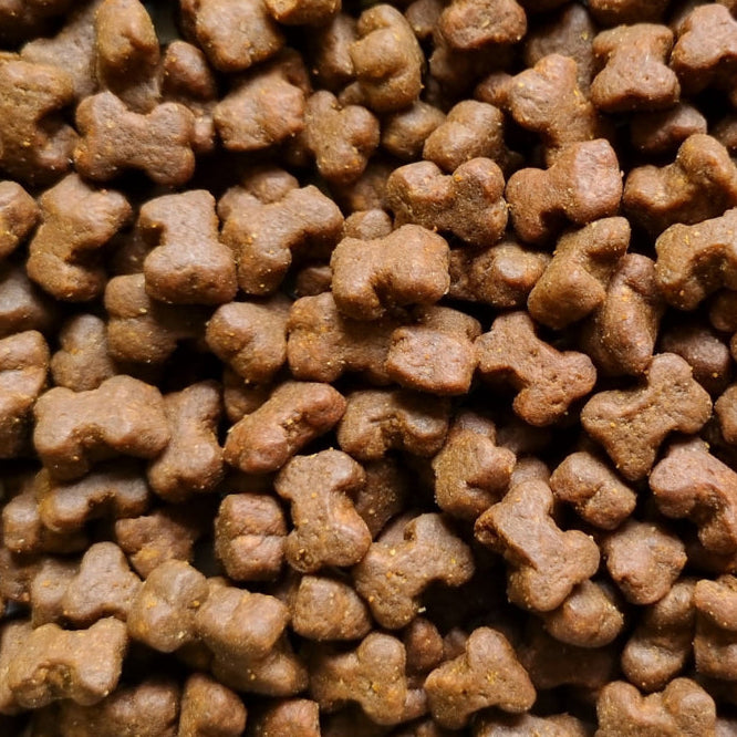 ProTrain Fresh Small Bites Dog Training Treats – 80% Meat/Fish High-Value Rewards for Puppy & Gundog Training (UK Made)