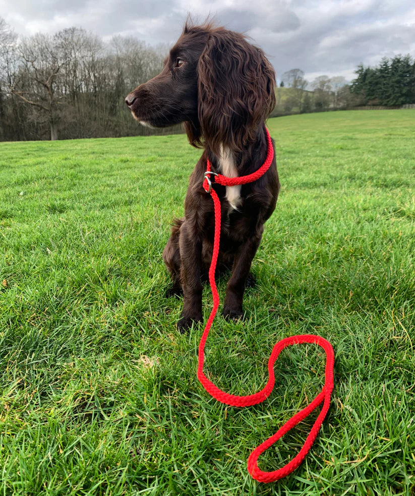 ProTrain™ Essentials Braided Slip Lead | Soft Rope Dog Training Lead with Figure of Eight Option