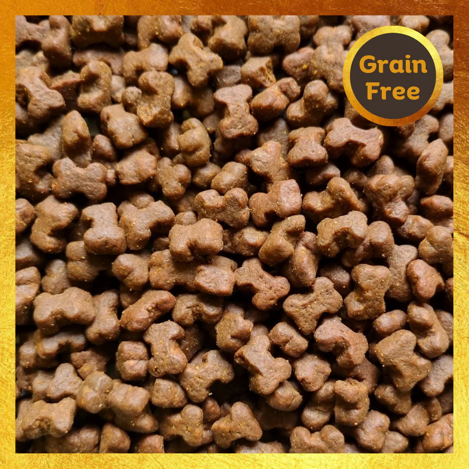 ProTrain Fresh Small Bites Dog Training Treats – 80% Meat/Fish High-Value Rewards for Puppy & Gundog Training (UK Made)