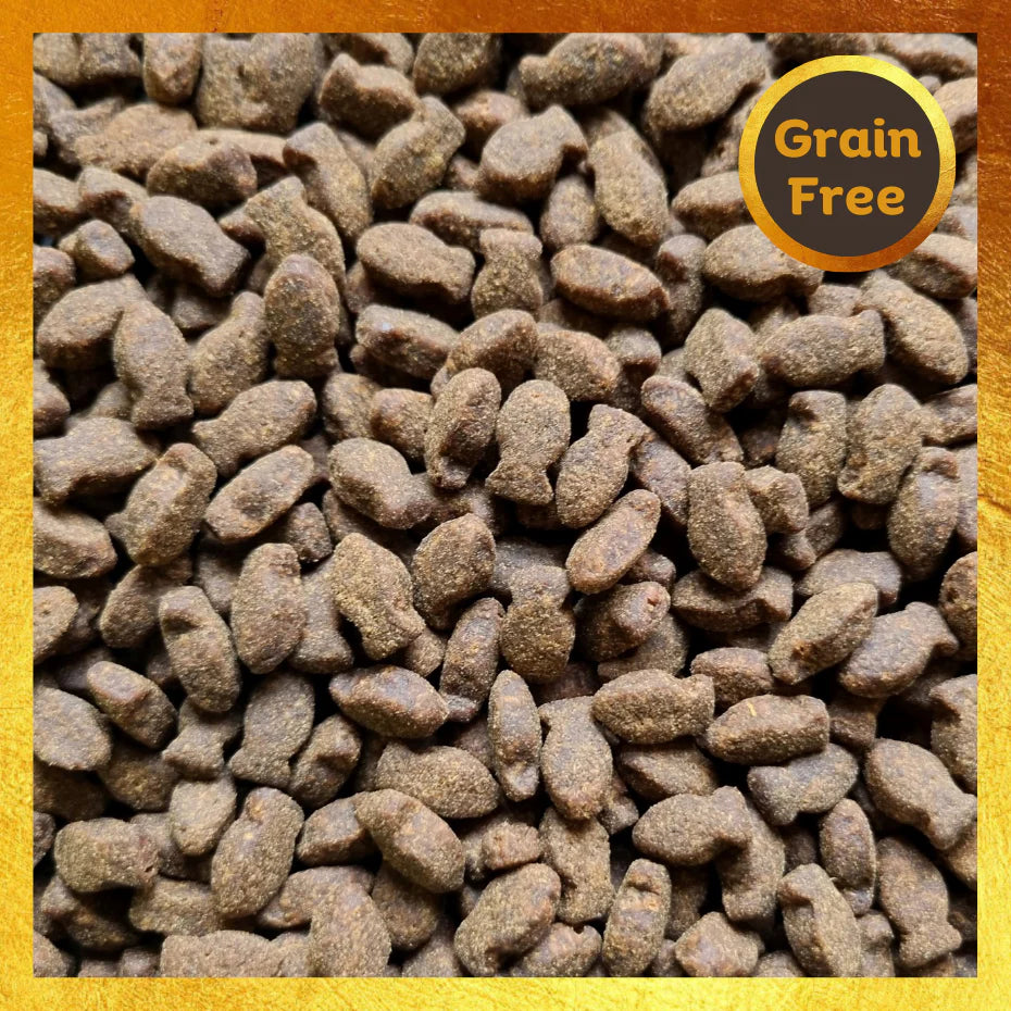 ProTrain Fresh Small Bites Dog Training Treats – 80% Meat/Fish High-Value Rewards for Puppy & Gundog Training (UK Made)
