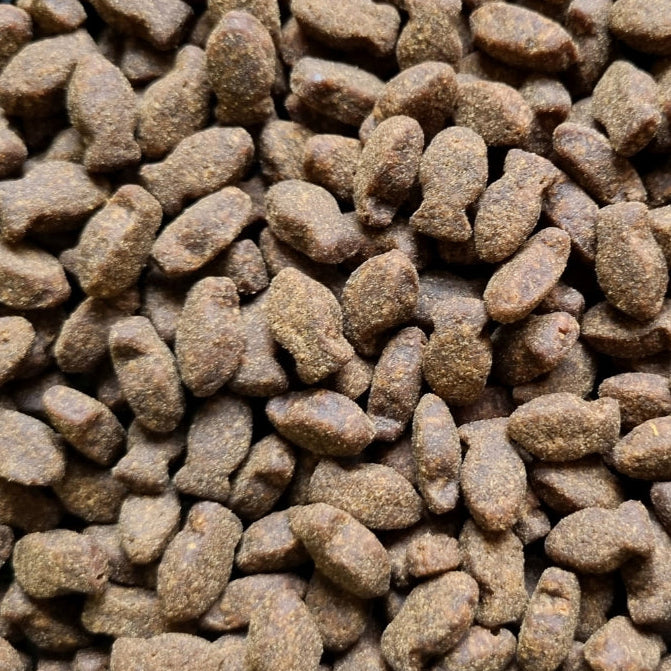 ProTrain Fresh Small Bites Dog Training Treats – 80% Meat/Fish High-Value Rewards for Puppy & Gundog Training (UK Made)