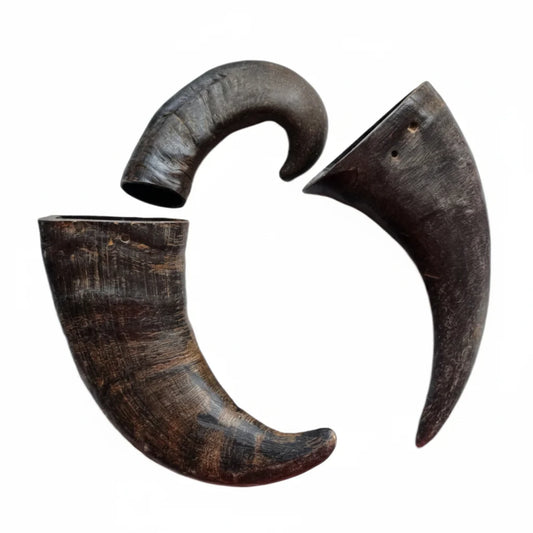 ProTrain Buffalo Horns — Pure Primal Low Fat Chew (Supplied Loose)