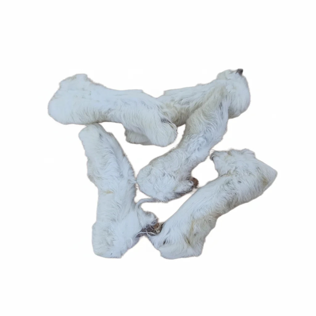 ProTrain Furry Rabbit Feet | Natural Dewormer Dog Chew