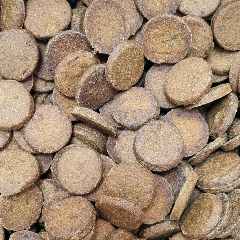 ProTrain Salmon Buttons – Natural High-Value Dog Training Treats with Omega 3 & 6 (Made in UK)