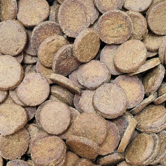 ProTrain Salmon Buttons – Natural High-Value Dog Training Treats with Omega 3 & 6 (Made in UK)