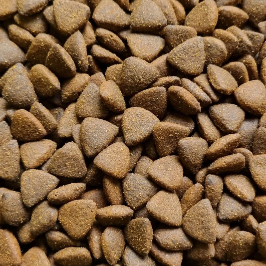 ProTrain All Life Stages Grain Free British Free Range Chicken Dry Dog Food (Made in UK)